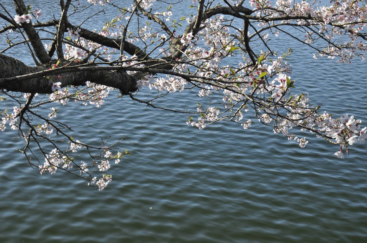 上米公園