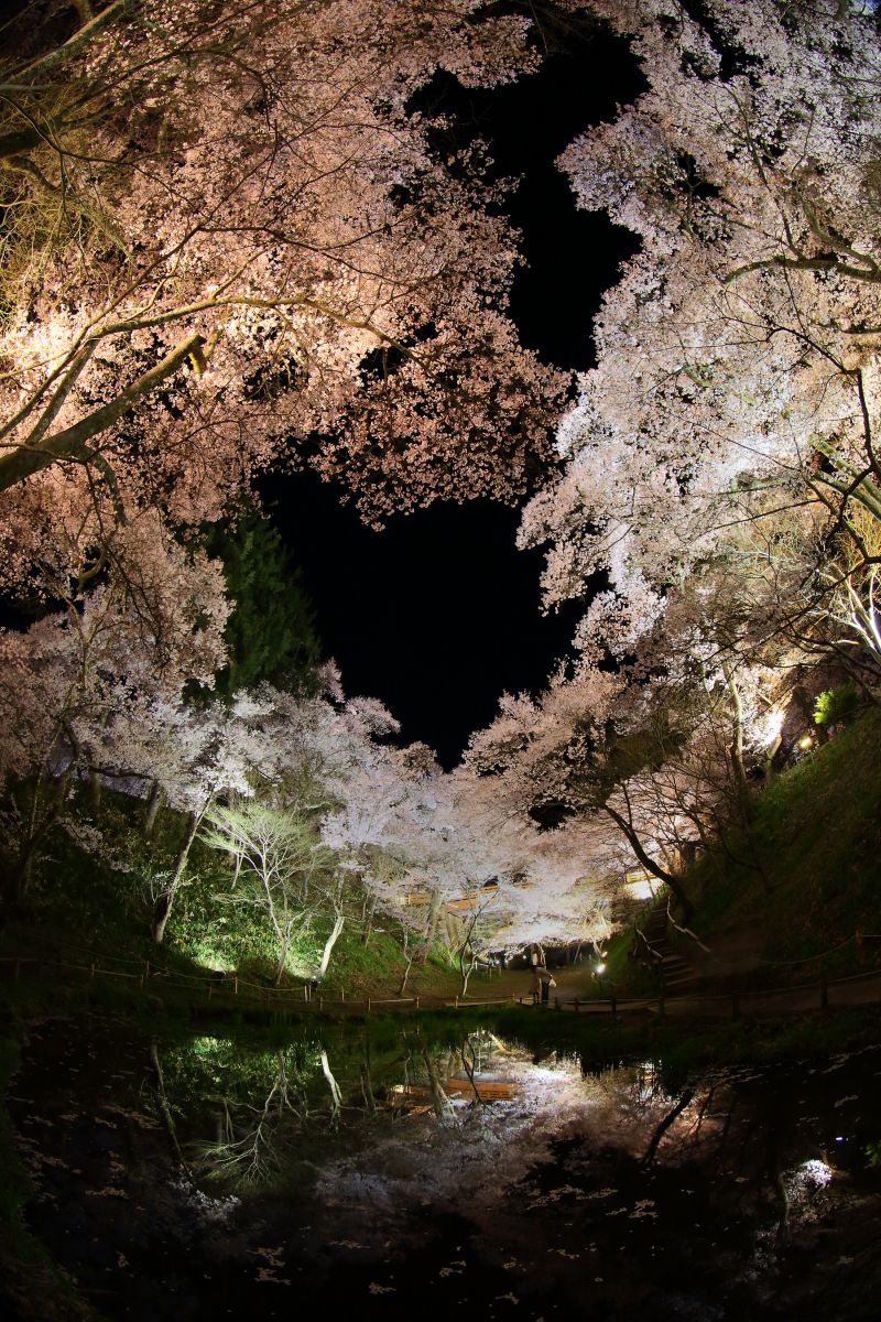 高遠城址公園（長野県）