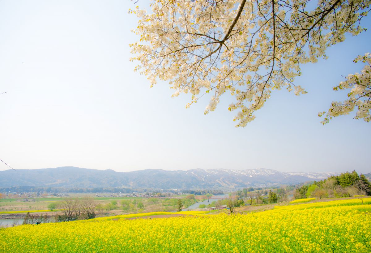 千曲川（長野県）