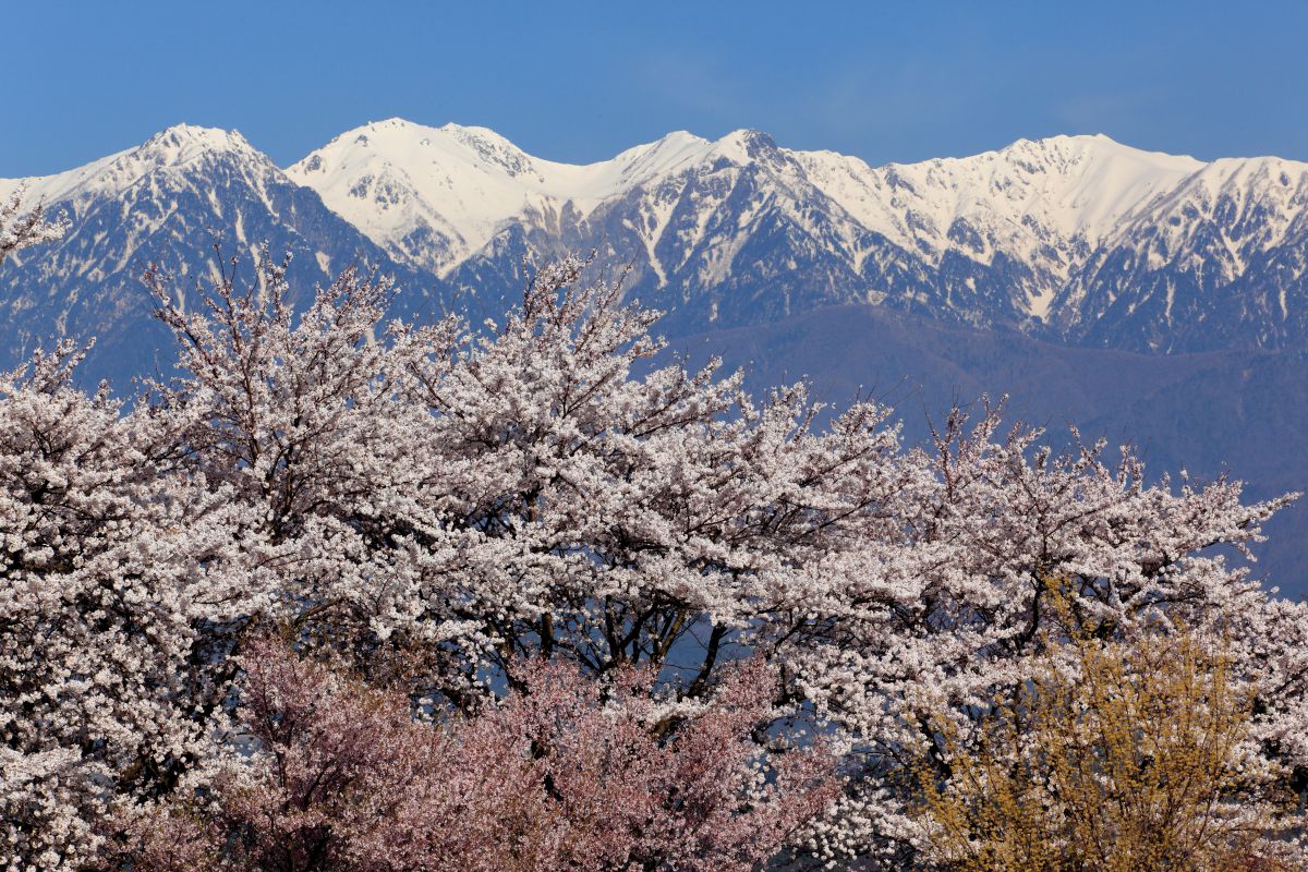 望岳荘（長野県）