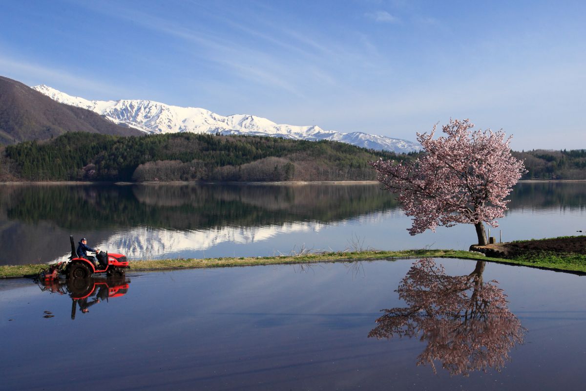 青木湖