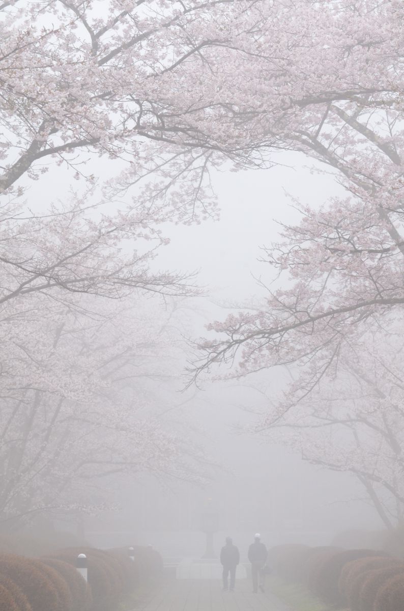 蓼科山聖光寺