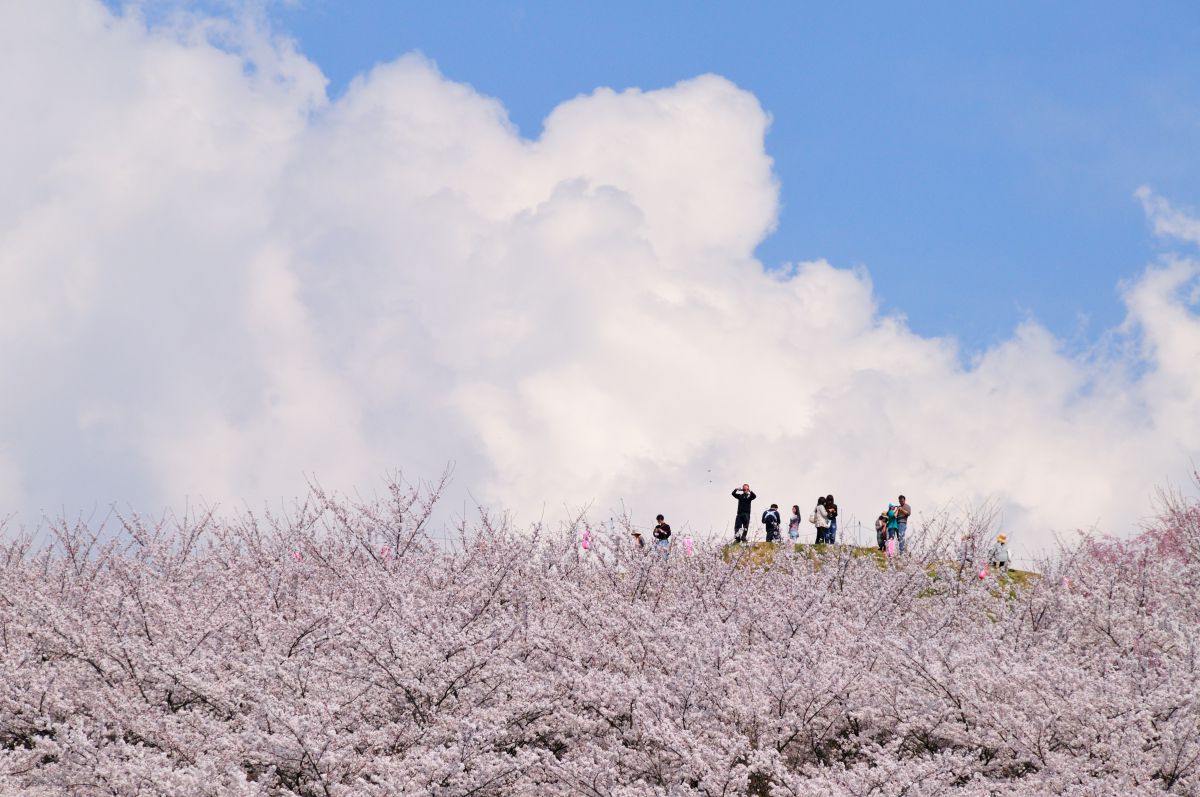 弘法山古墳