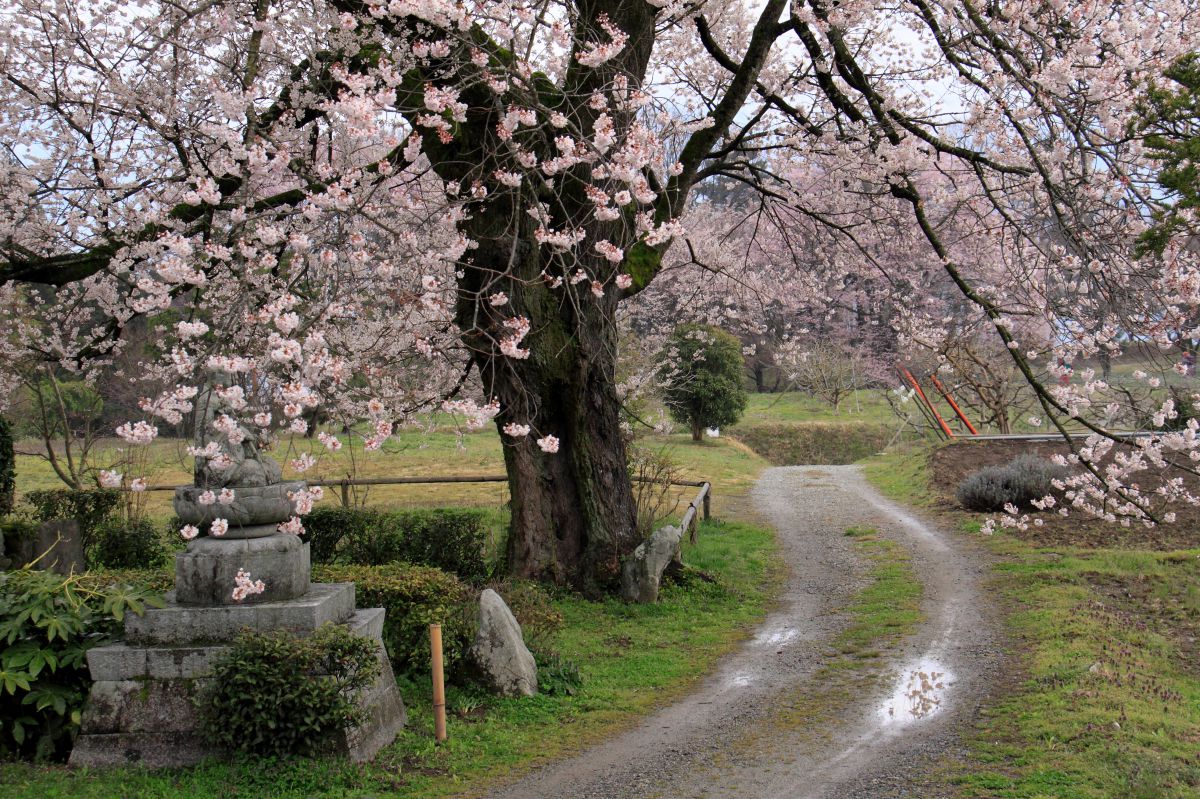 高森町 松源寺（長野県）