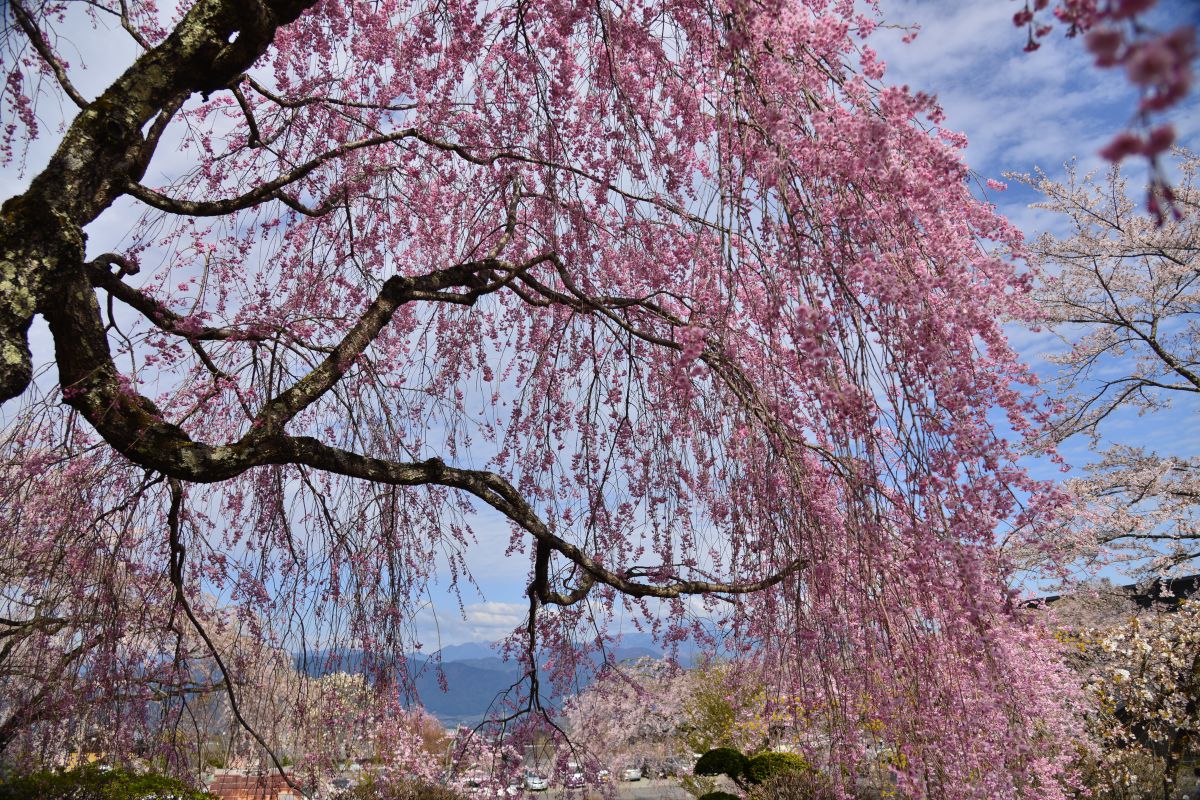 光前寺（長野県）