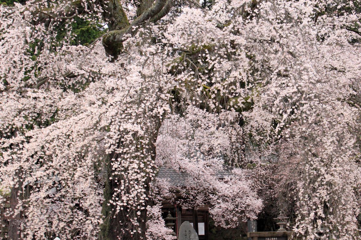 高森町 瑠璃寺