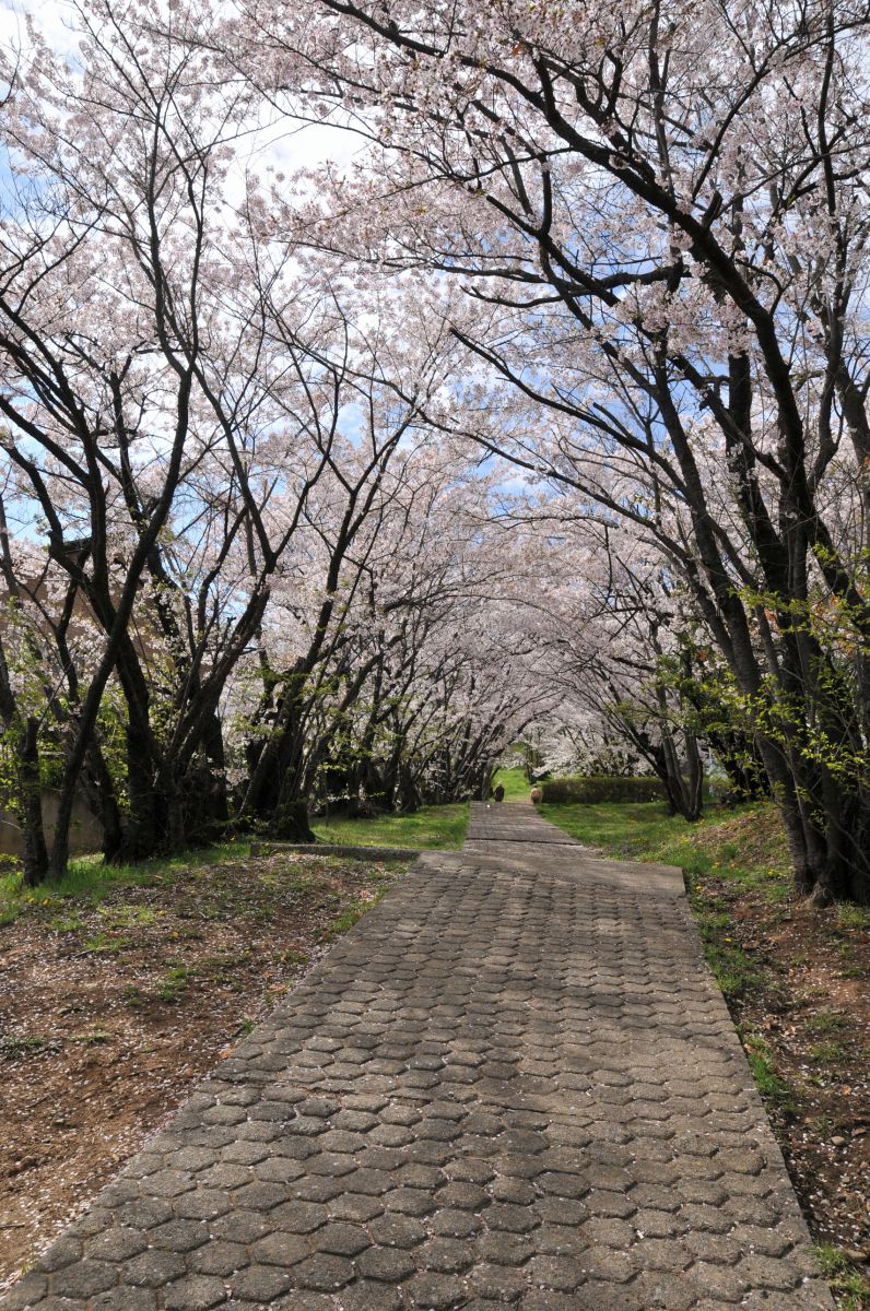 松本市城山公園（長野県）