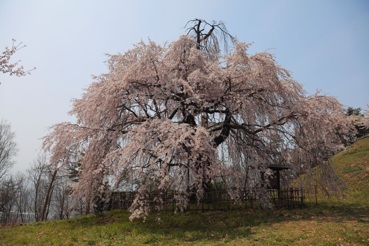 アルプス公園（長野県）