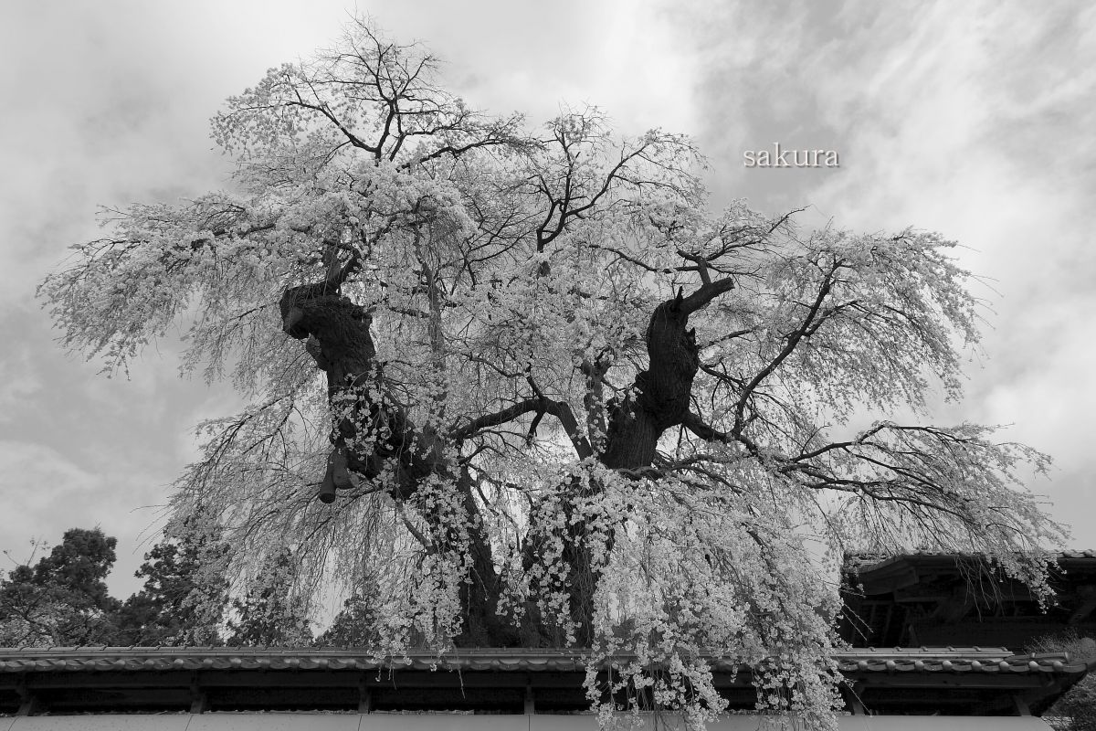 福王寺（長野県）