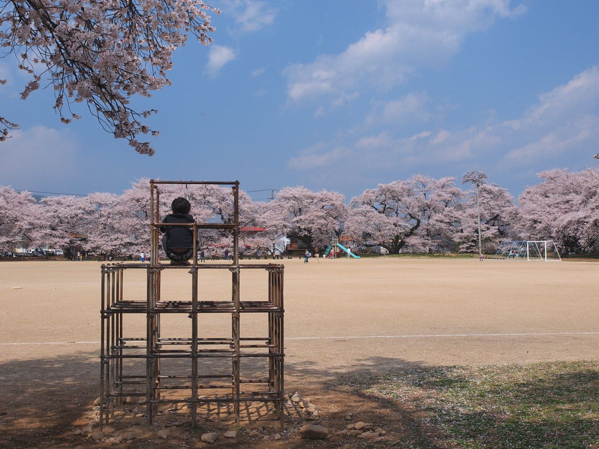 高森南小学校