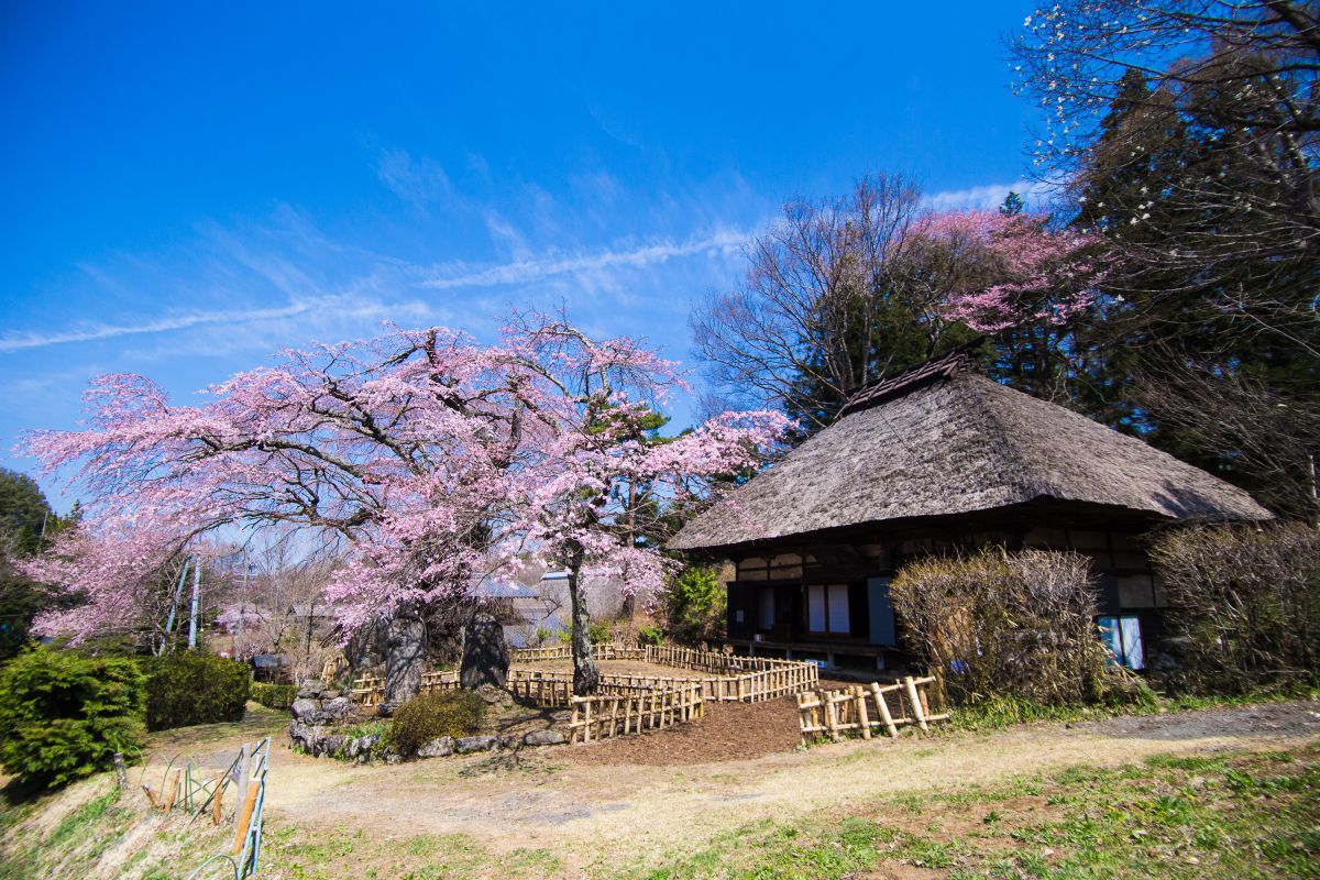 高森観音堂（長野県）