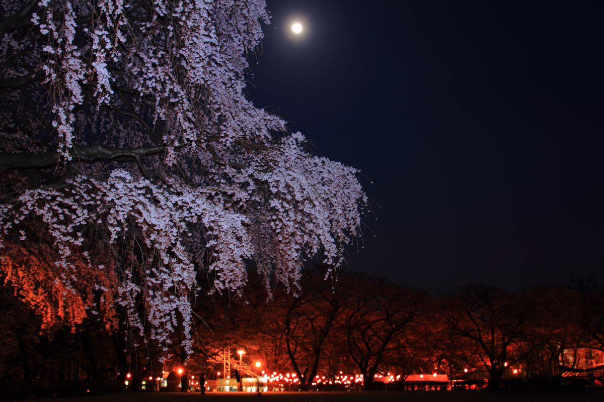 春日公園（長野県）