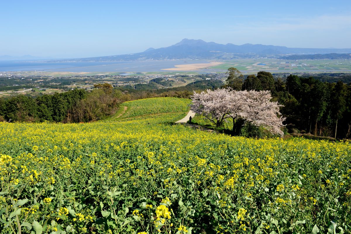 白木峰高原（長崎県）