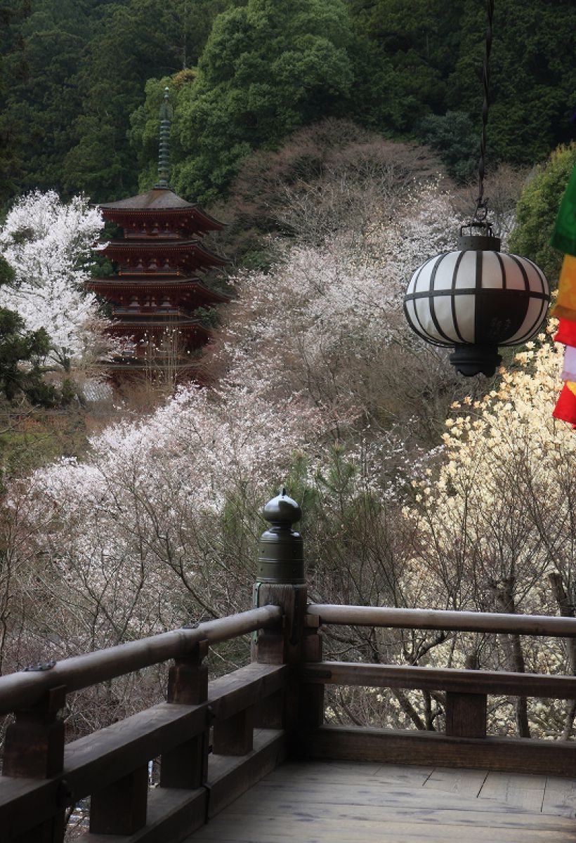 長谷寺（奈良県）