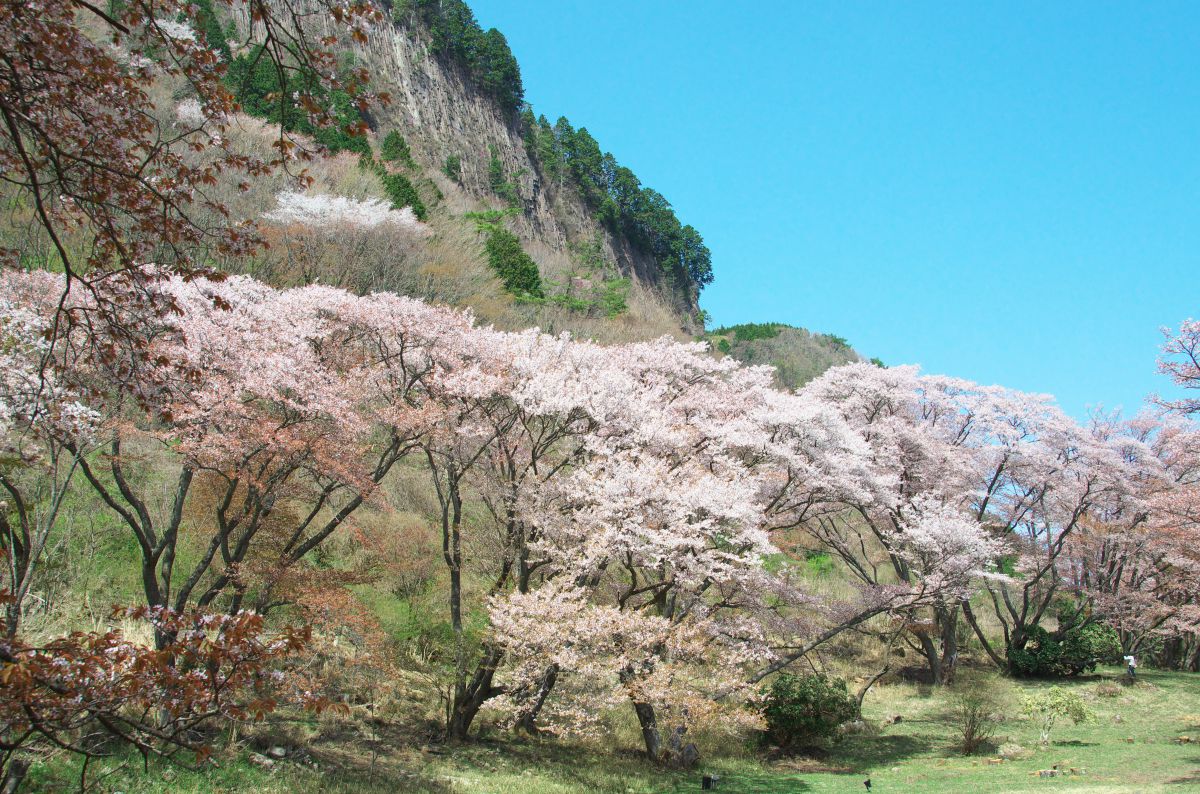 屏風岩公苑（奈良県）