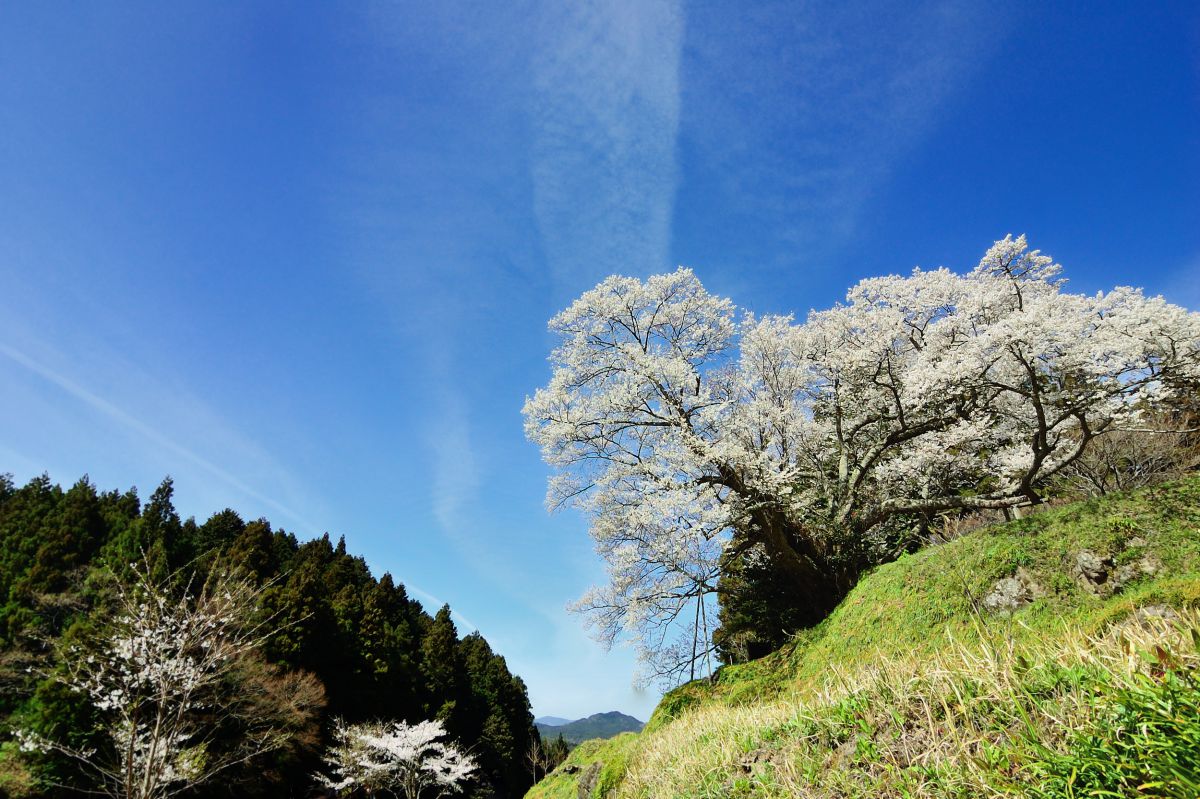 佛隆寺（奈良県）