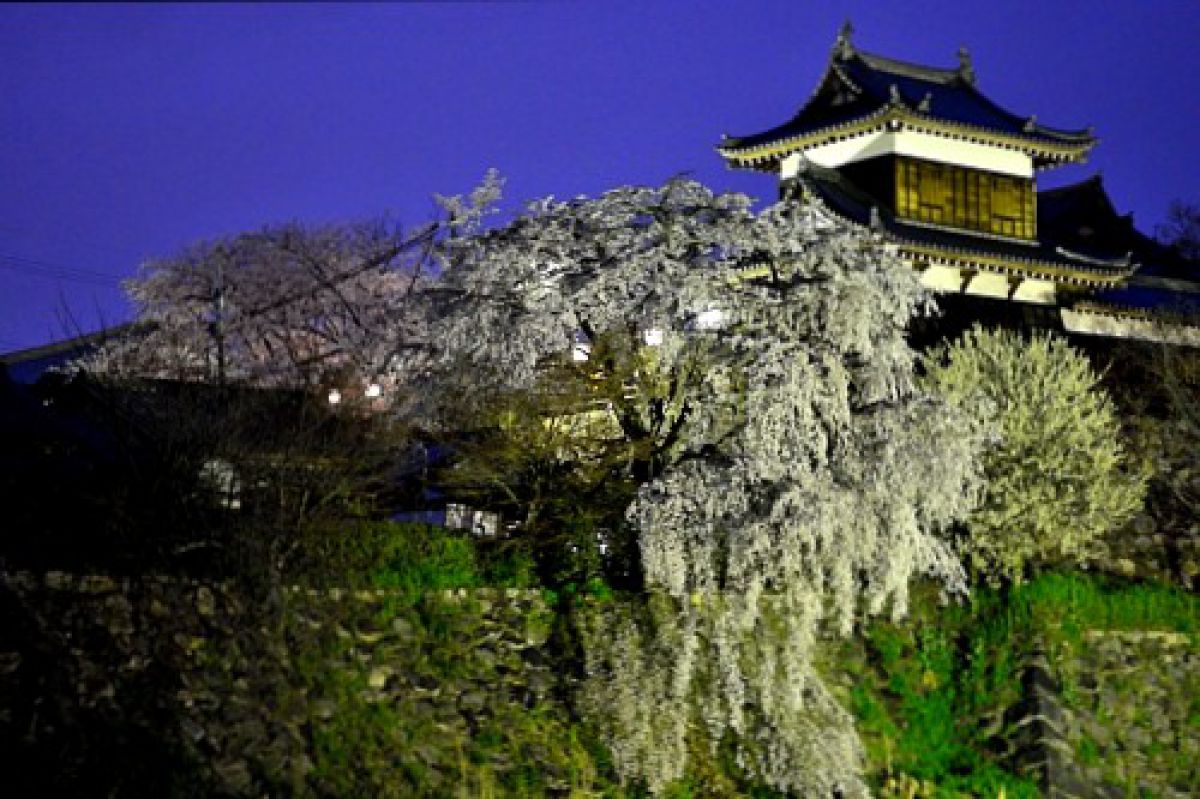 郡山城（奈良県）