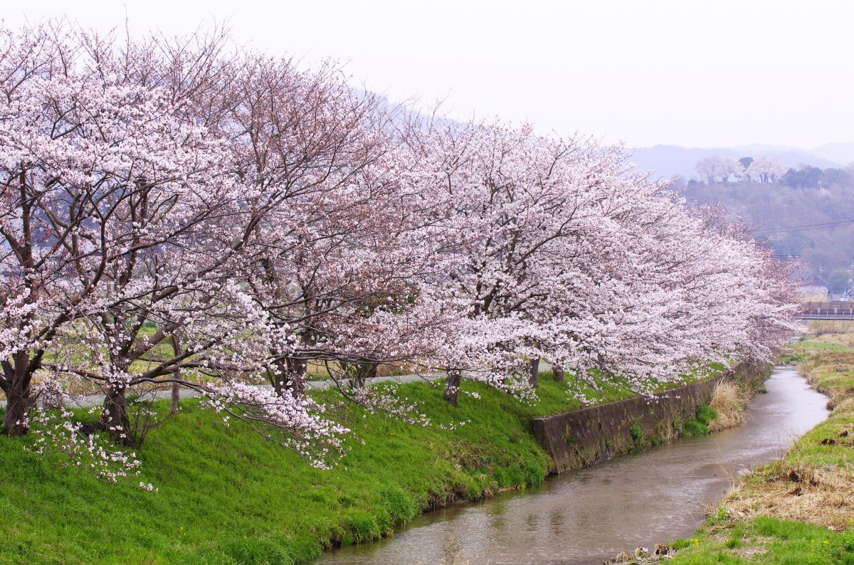 明日香村