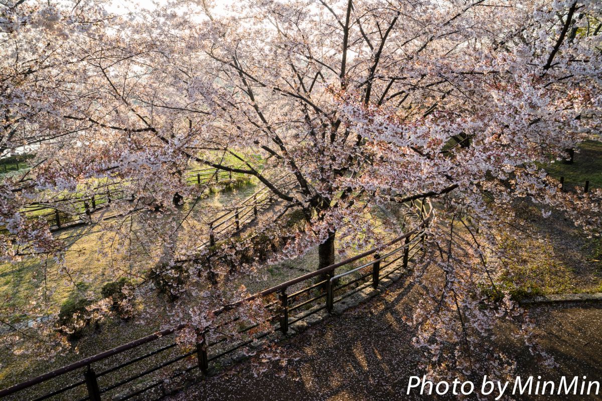 馬見丘陵公園（奈良県）