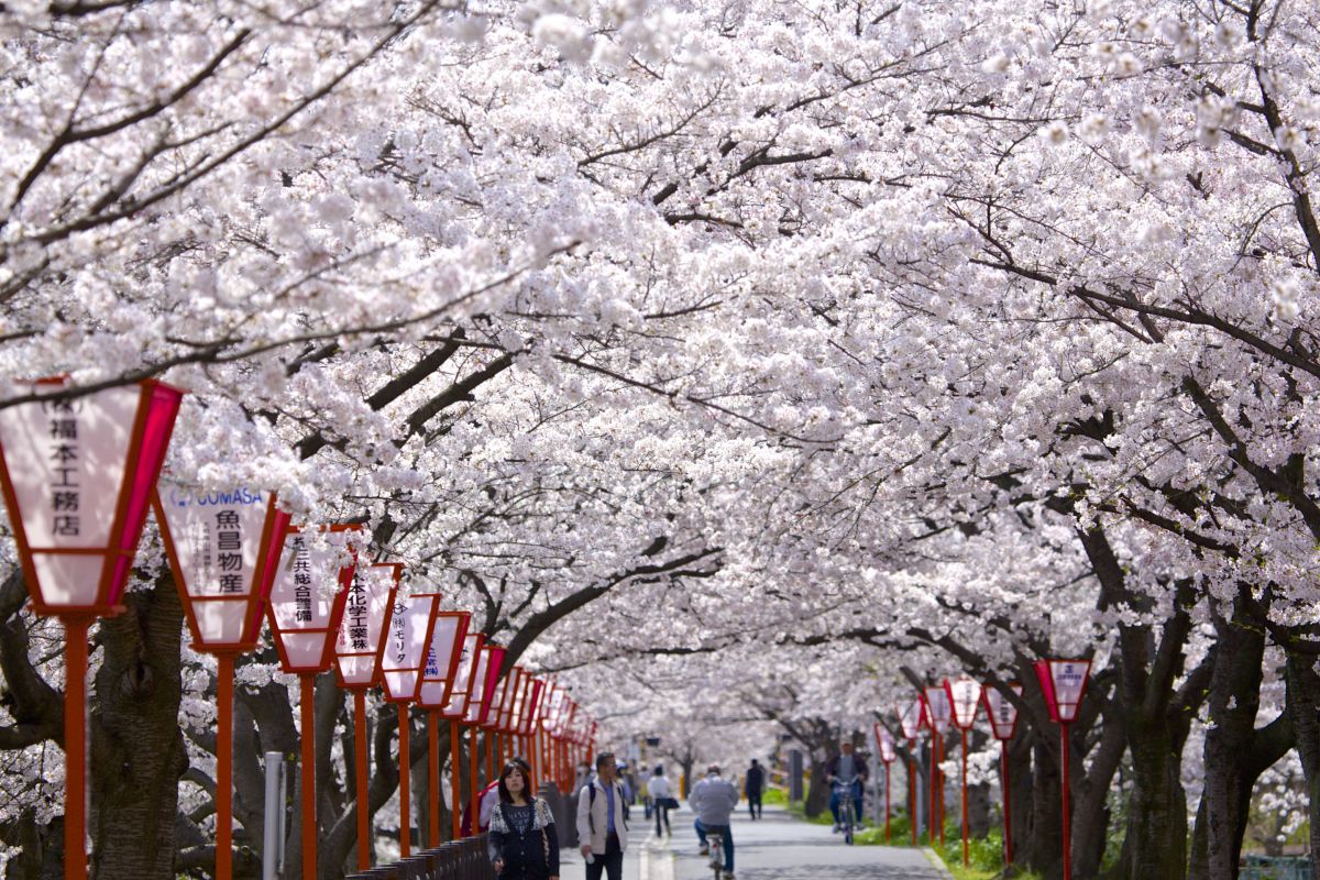 大中公園