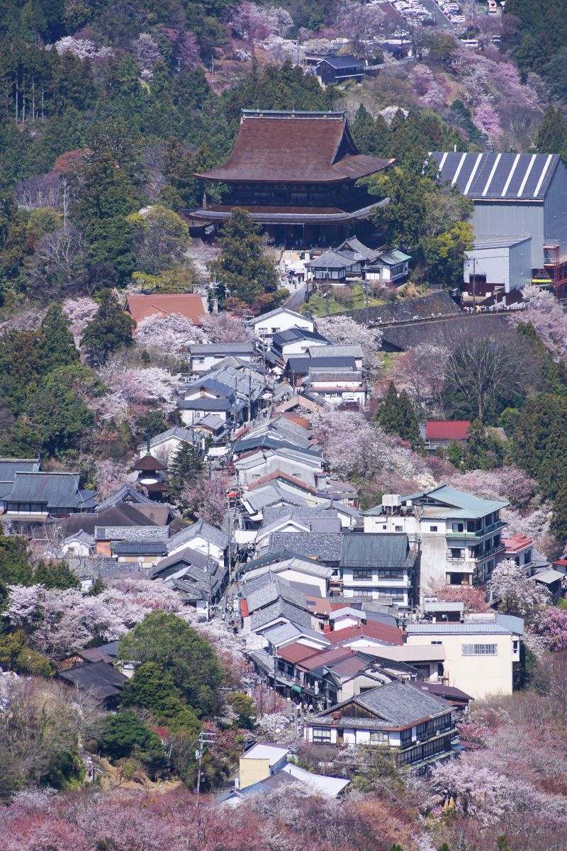 金峯山寺