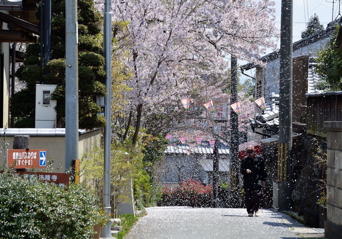 朝護孫子寺