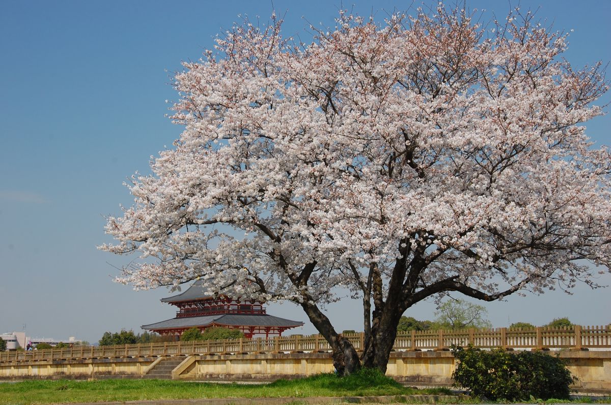 平城宮跡（奈良県）