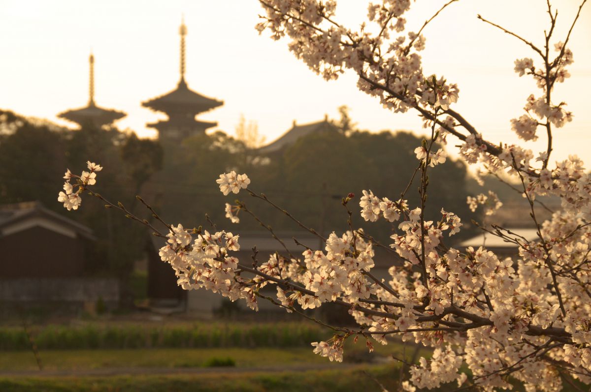 薬師寺（奈良県）