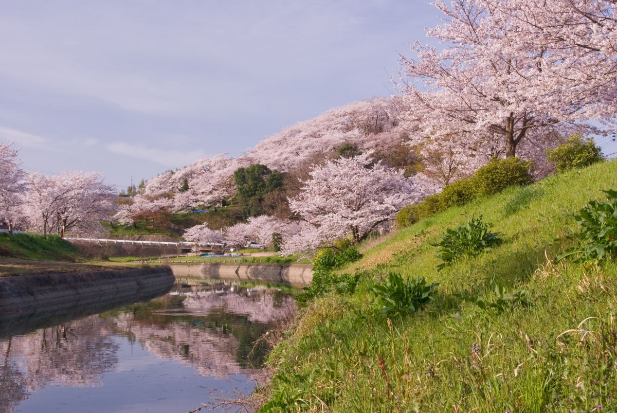 三室山（奈良県）