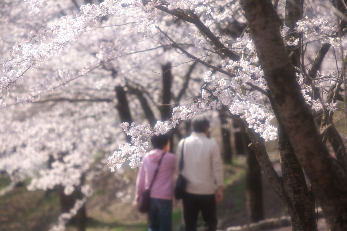 村松公園