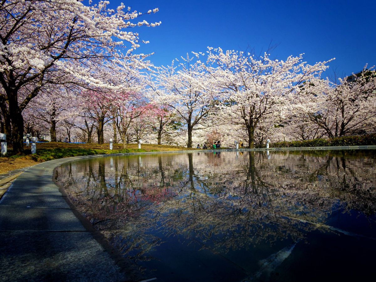 白山公園