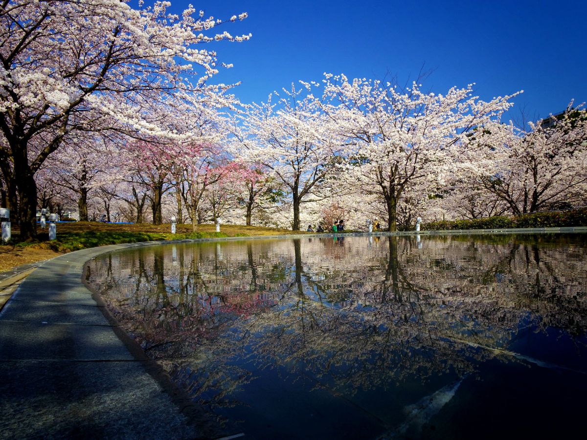 白山公園