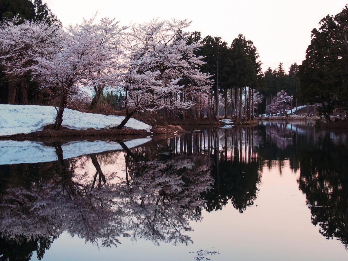 お松の池