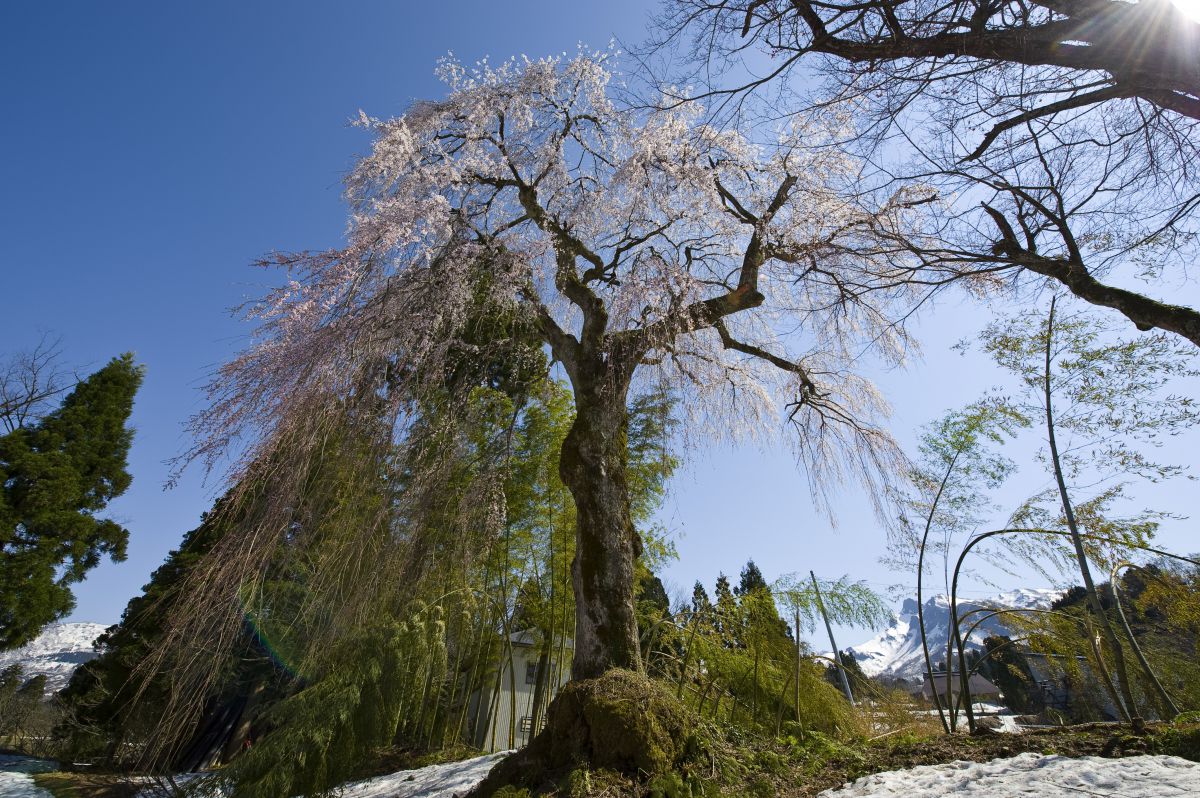 糸魚川（新潟県）