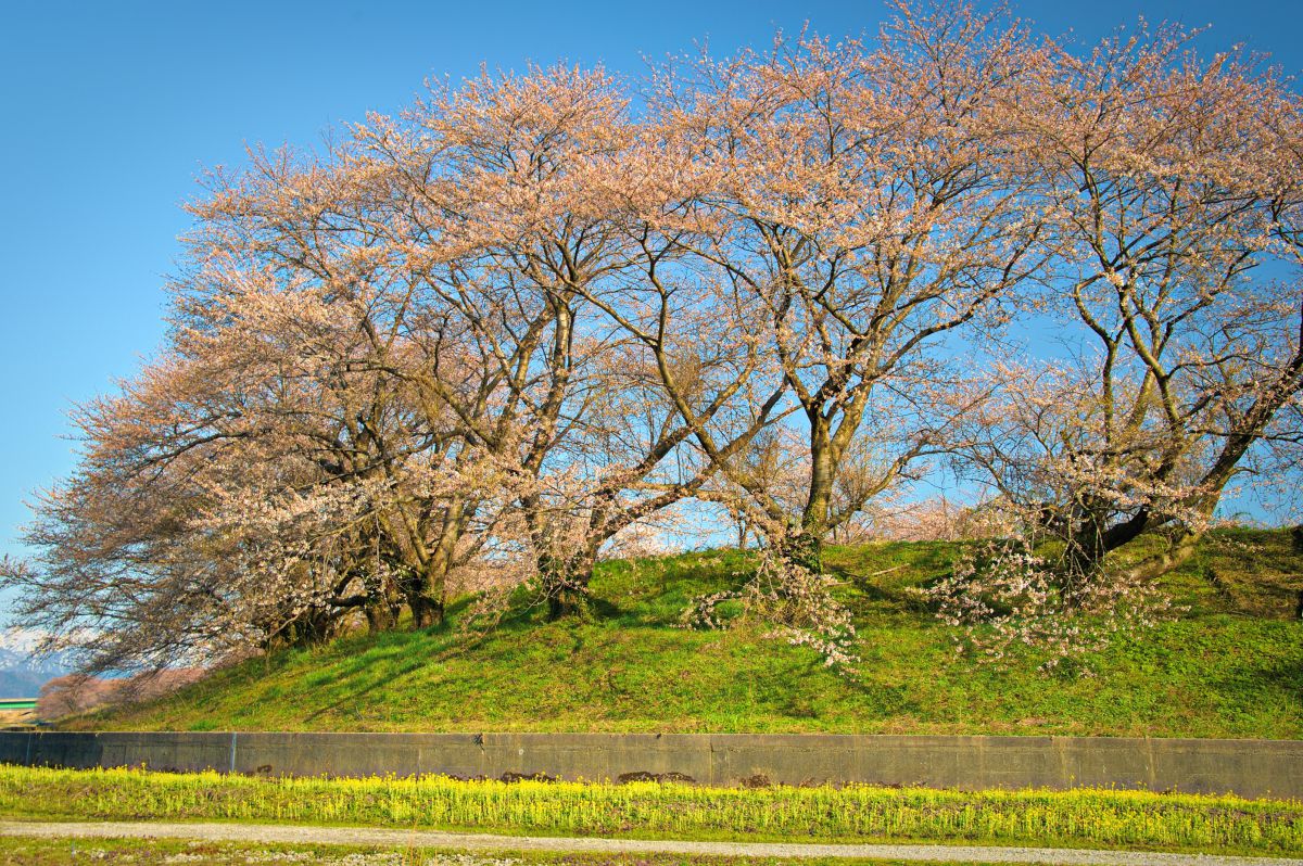 加治川