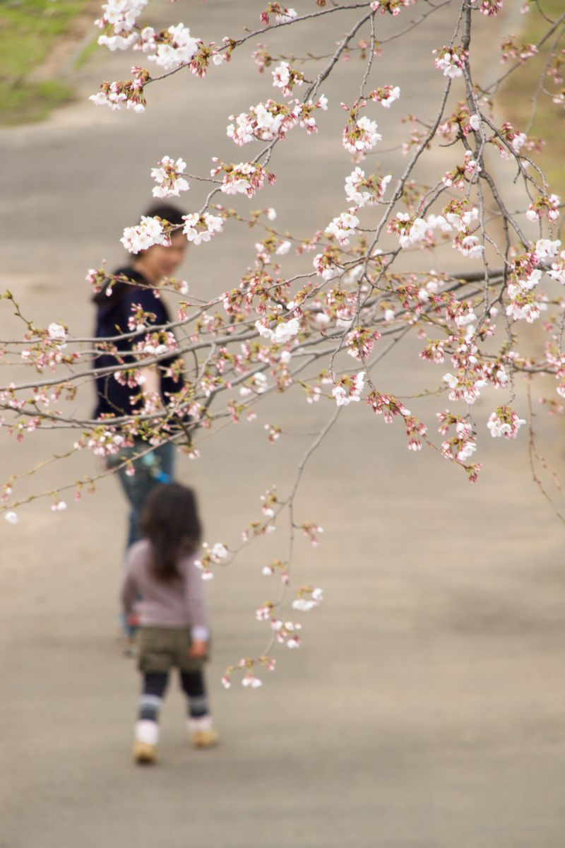 今宮公園