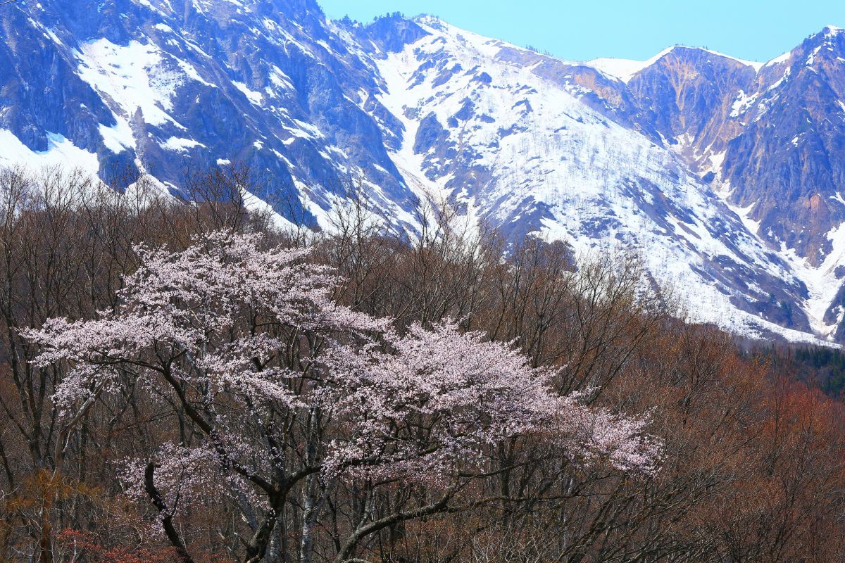 秋山郷（新潟県）