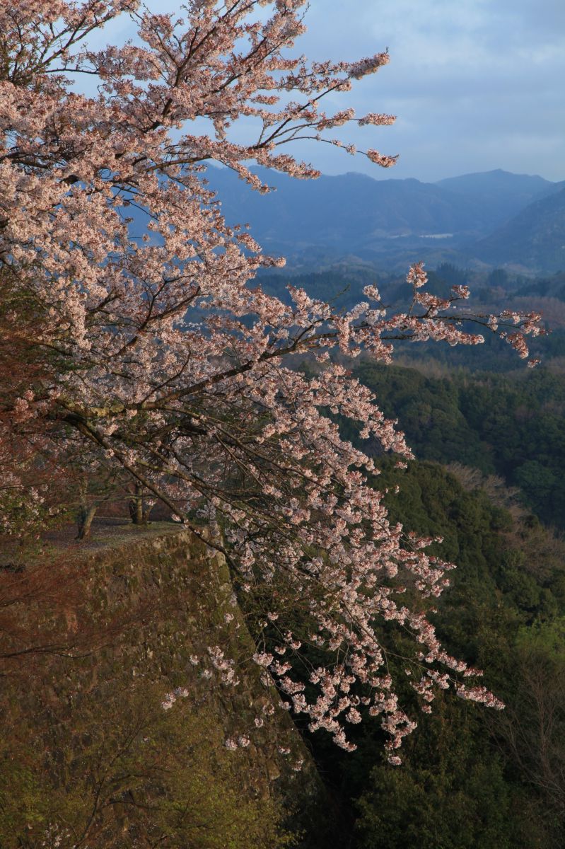 岡城