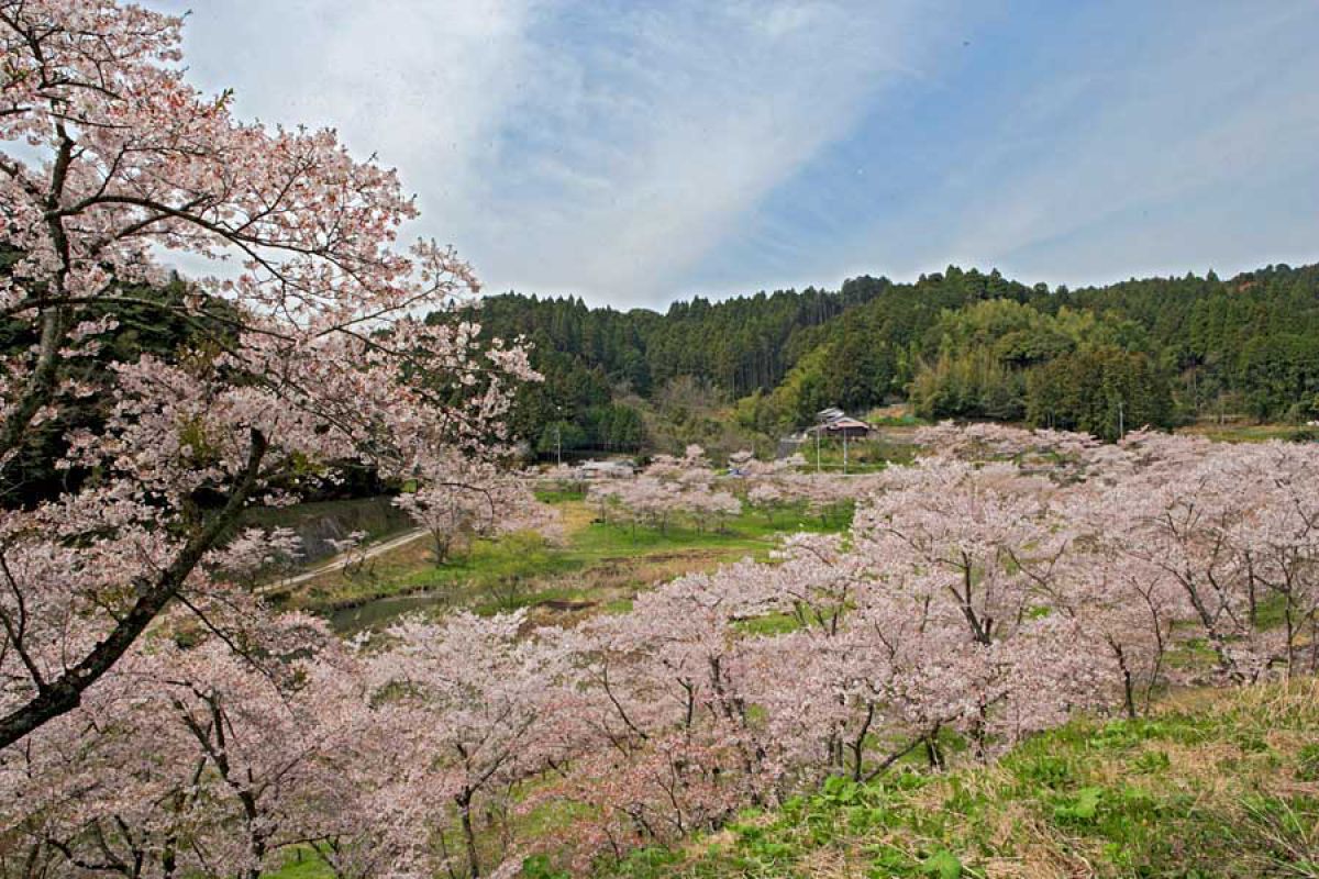 安岐ダム（大分県）