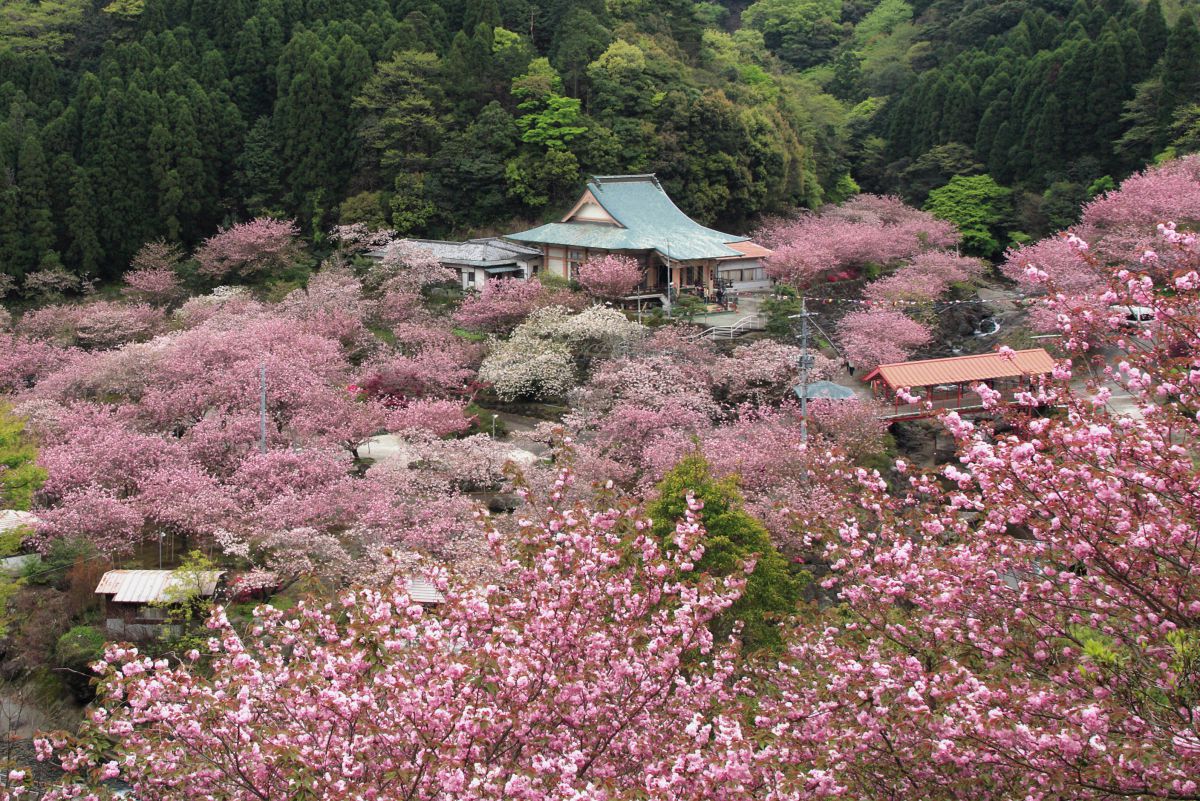 一心寺（大分県）