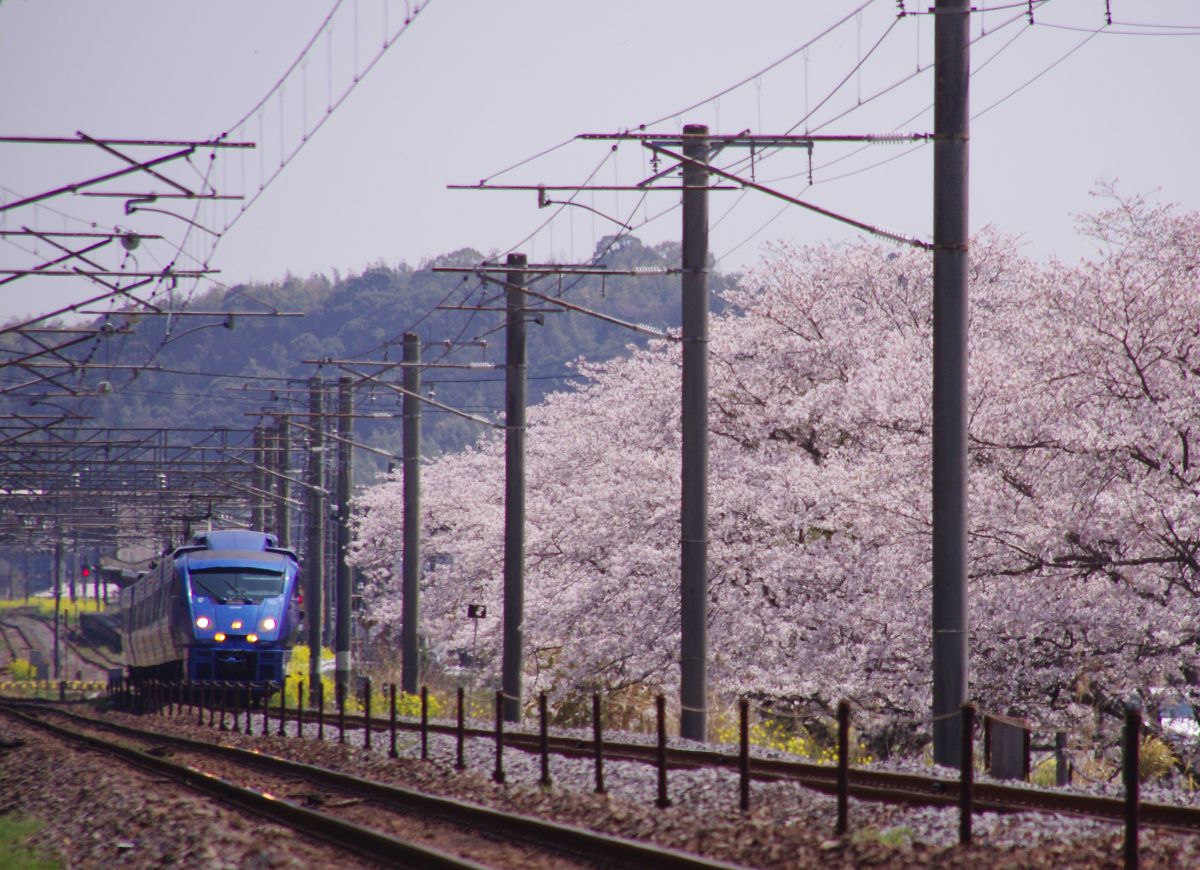 日豊本線（大分県）