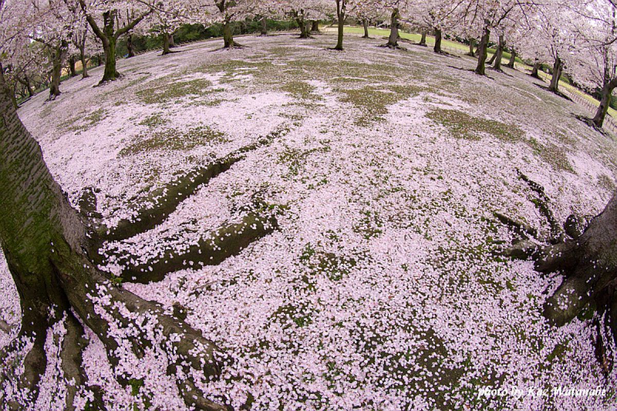 岡山後楽園（岡山県）