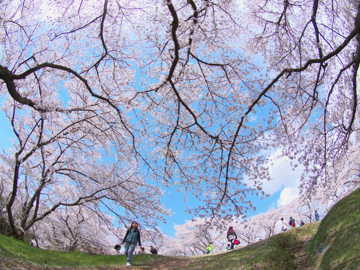 半田山植物園（岡山県）