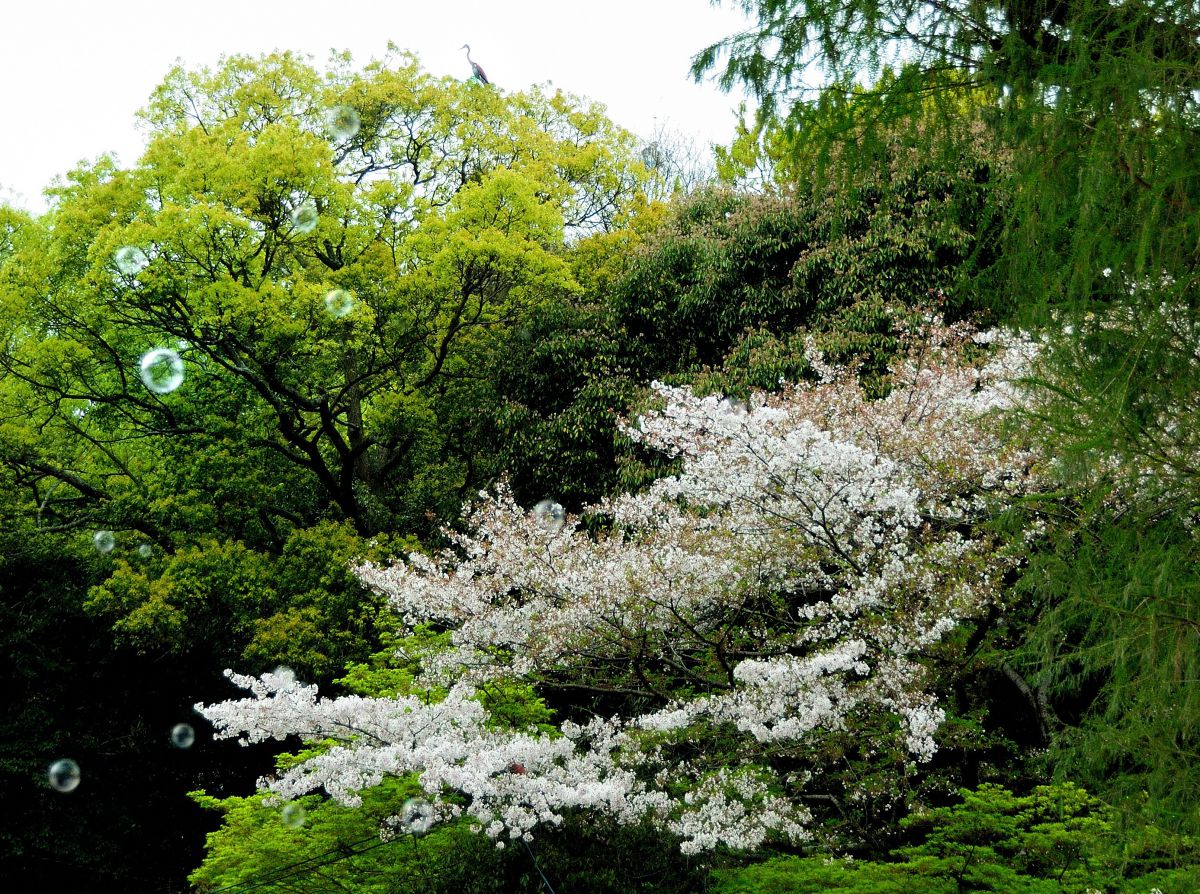 池田動物園（岡山県）