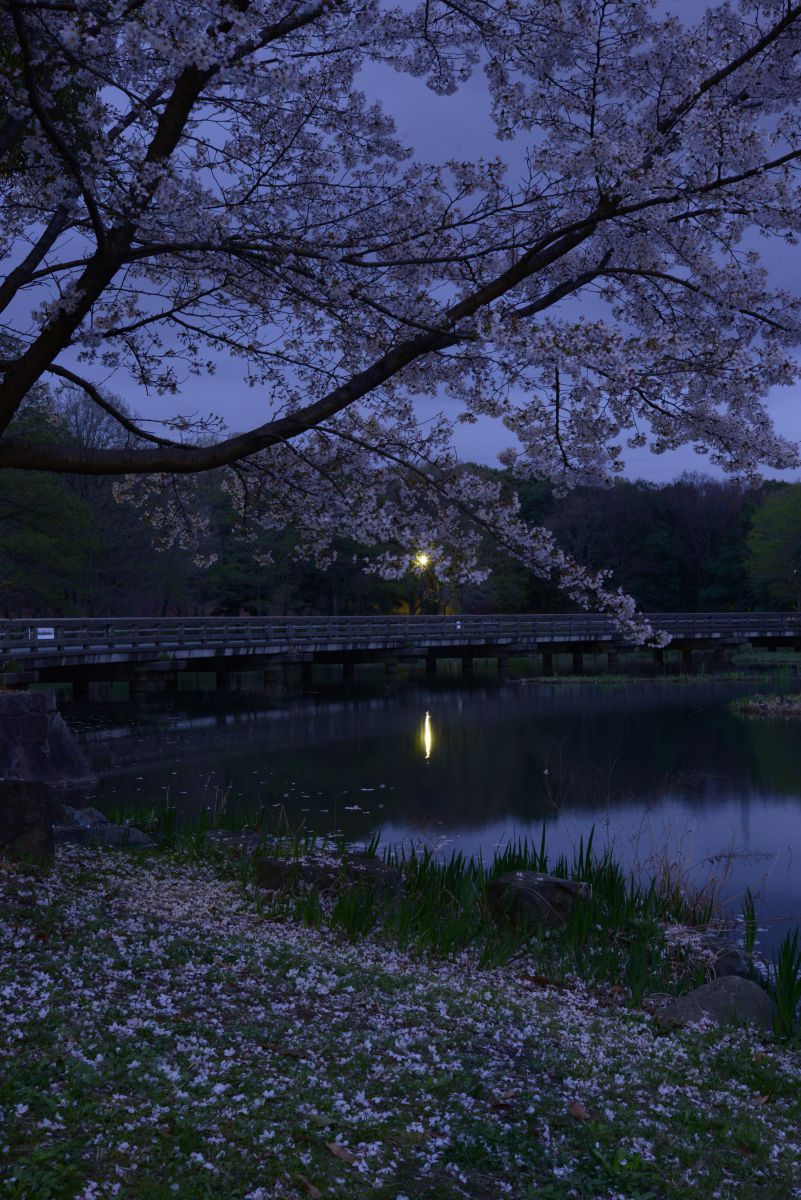 山田池公園