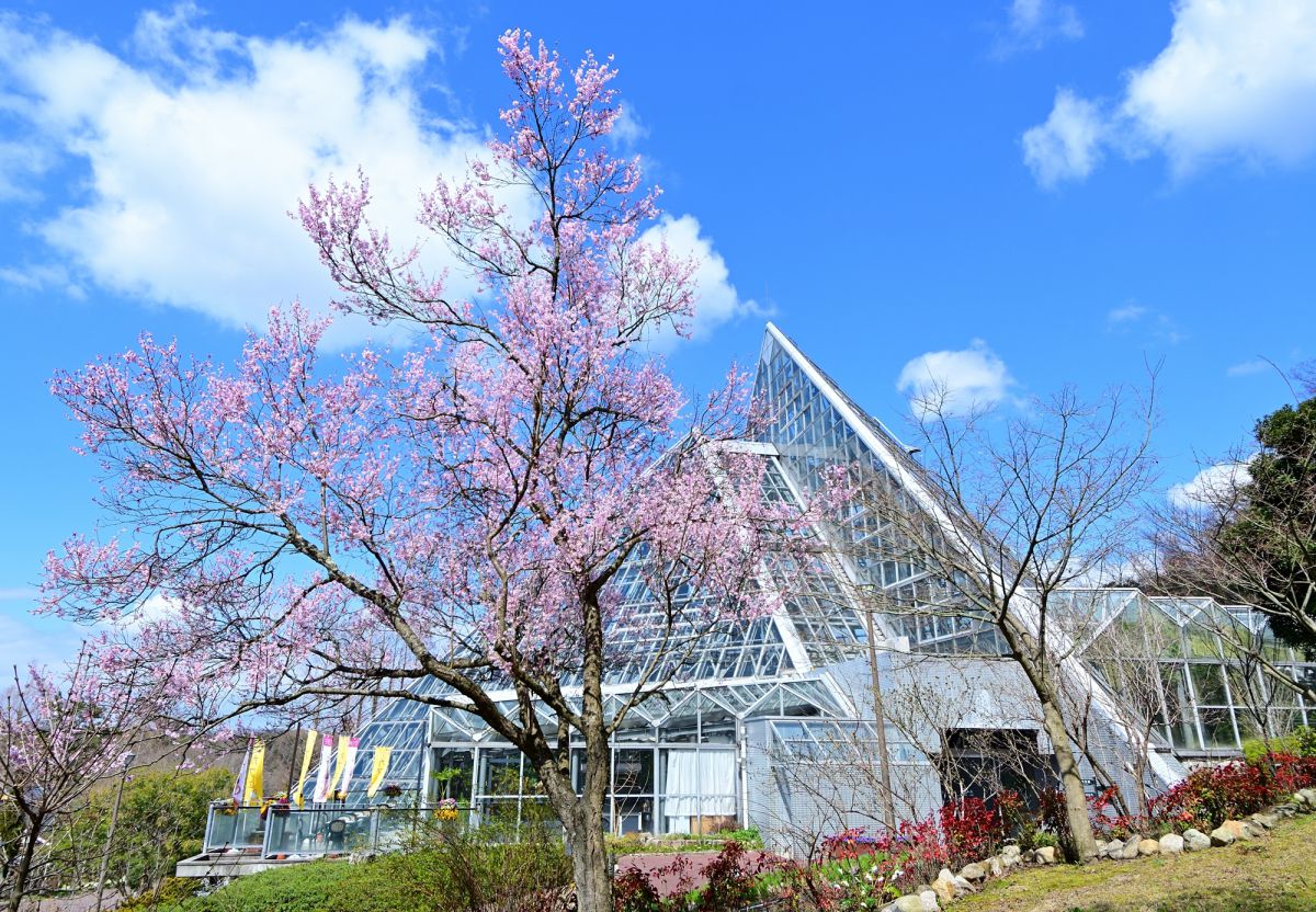 花の文化園