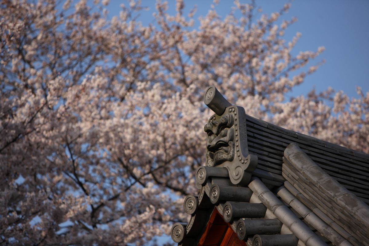 弘川寺（大阪府）