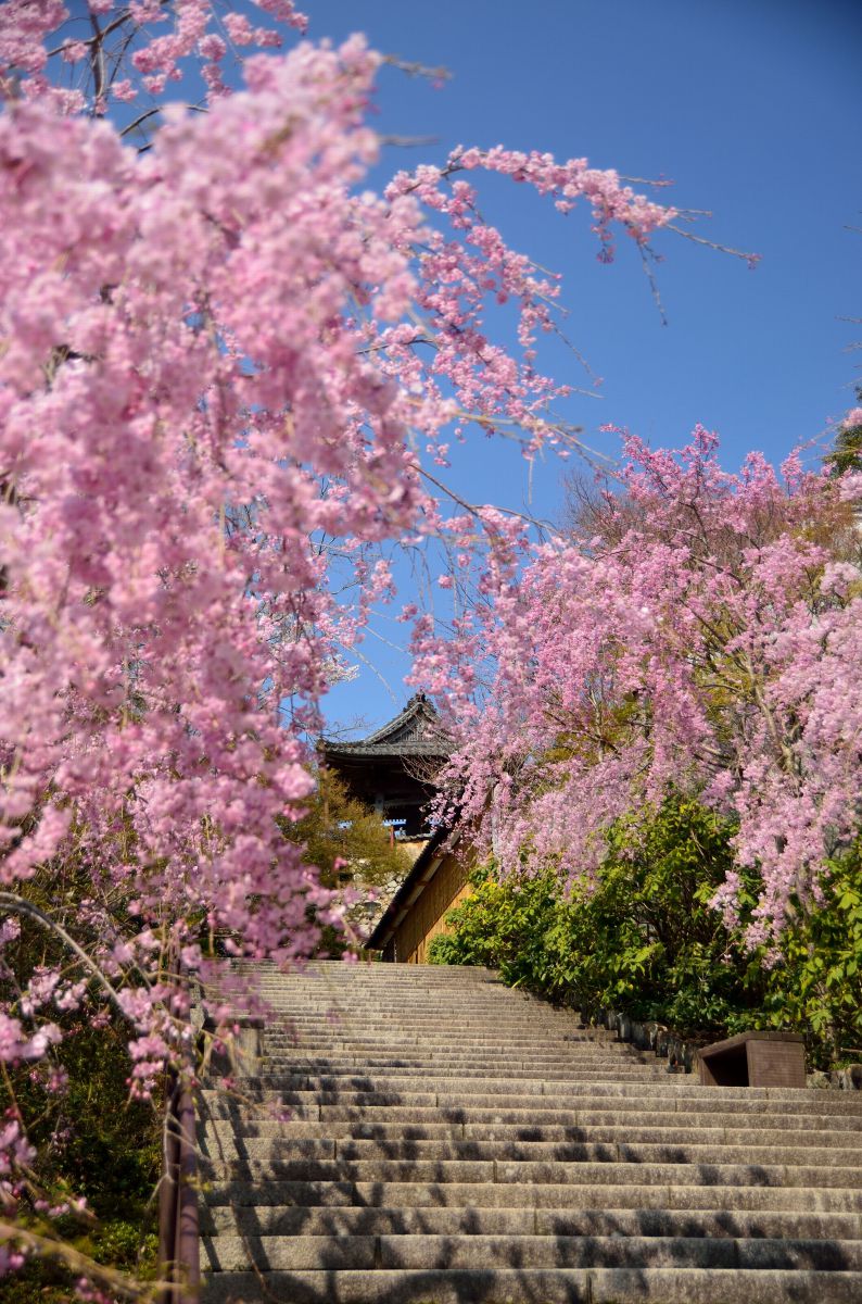 勝尾寺（大阪府）