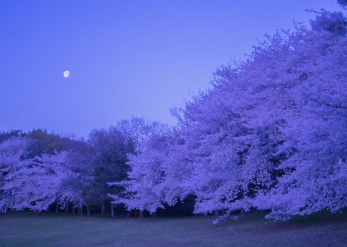 大泉緑地