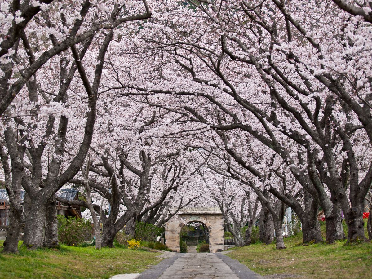 円応寺